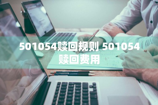 501054赎回规则 501054赎回费用