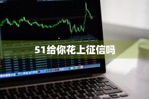 51给你花上征信吗