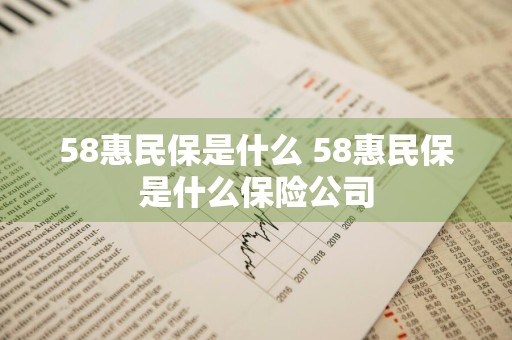 58惠民保是什么 58惠民保是什么保险公司