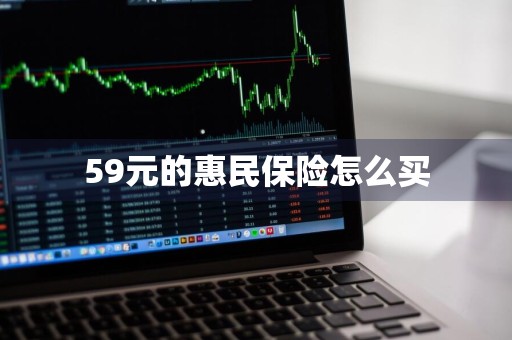 59元的惠民保险怎么买