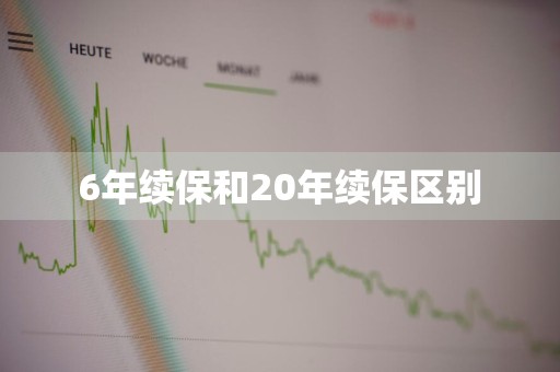 6年续保和20年续保区别