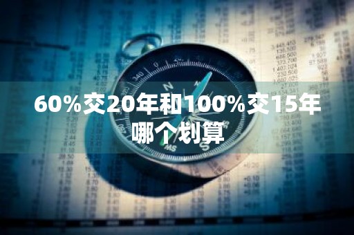 60%交20年和100%交15年哪个划算