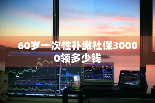 60岁一次性补缴社保30000领多少钱