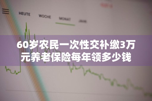 60岁农民一次性交补缴3万元养老保险每年领多少钱