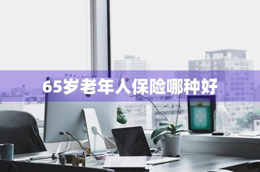 65岁老年人保险哪种好