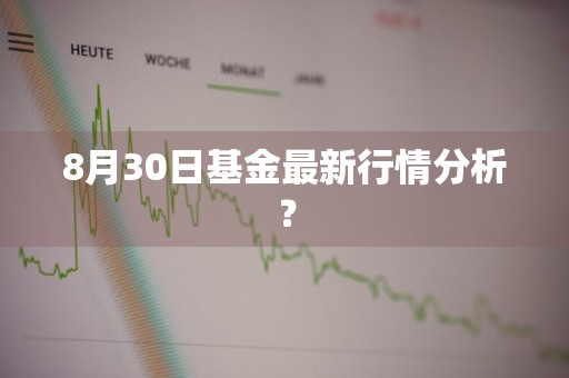 8月30日基金最新行情分析？