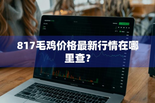 817毛鸡价格最新行情在哪里查？