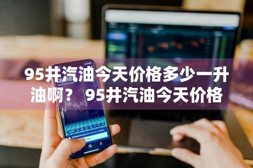 95井汽油今天价格多少一升油啊？ 95井汽油今天价格多少一升油啊视频