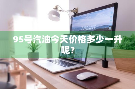 95号汽油今天价格多少一升呢？