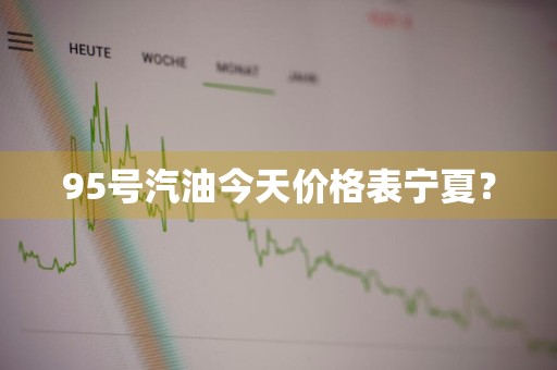 95号汽油今天价格表宁夏？