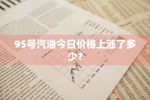 95号汽油今日价格上涨了多少？