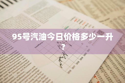 95号汽油今日价格多少一升？