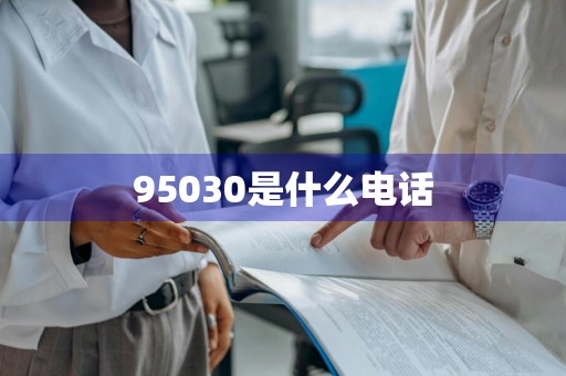 95030是什么电话