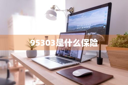 95303是什么保险