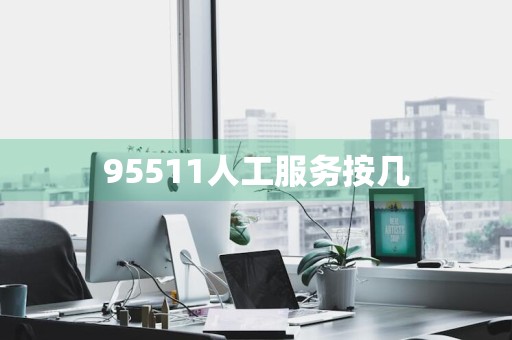 95511人工服务按几
