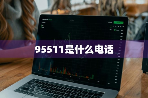 95511是什么电话