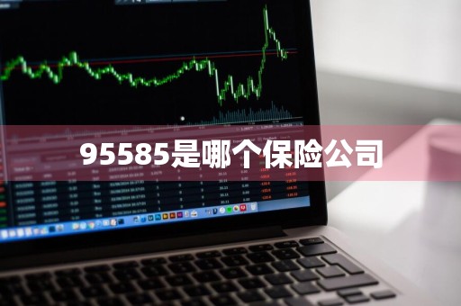 95585是哪个保险公司