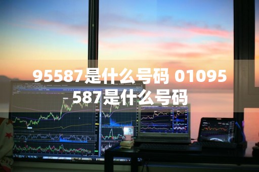 95587是什么号码 01095587是什么号码