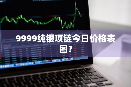 9999纯银项链今日价格表图？
