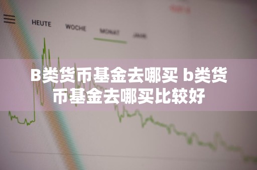 B类货币基金去哪买 b类货币基金去哪买比较好