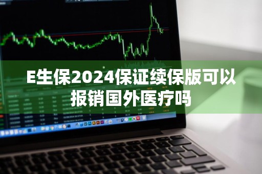E生保2024保证续保版可以报销国外医疗吗