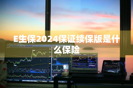 E生保2024保证续保版是什么保险