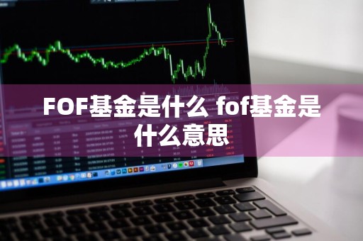 FOF基金是什么 fof基金是什么意思