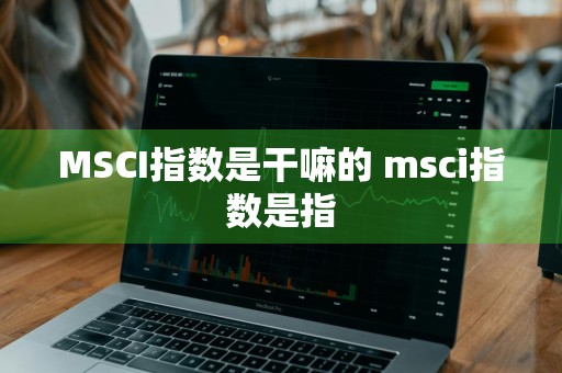 MSCI指数是干嘛的 msci指数是指