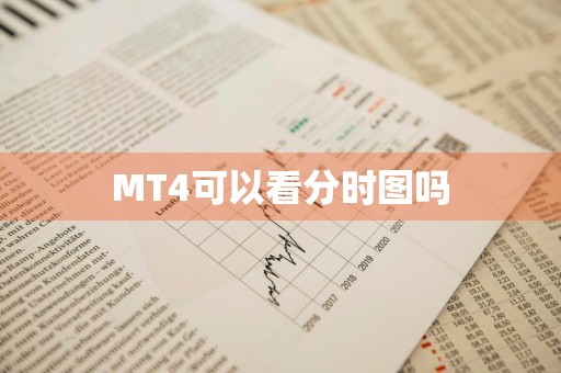 MT4可以看分时图吗