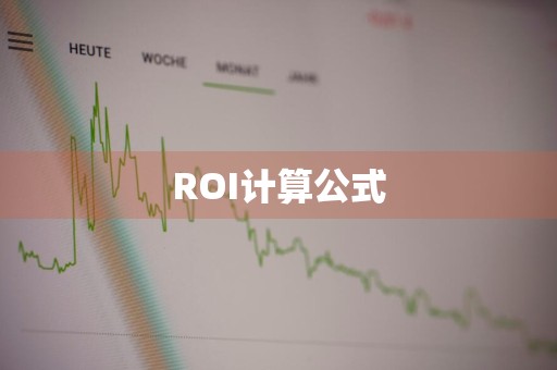 ROI计算公式