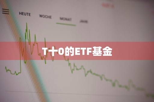 T十0的ETF基金
