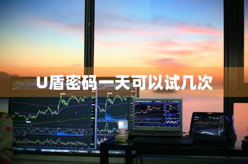 U盾密码一天可以试几次