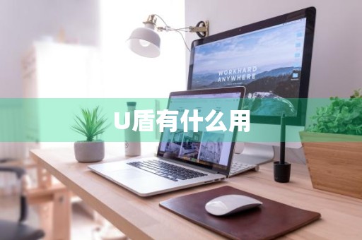 U盾有什么用