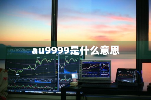 au9999是什么意思