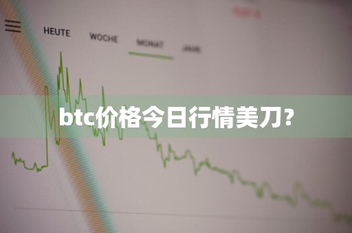 btc价格今日行情美刀？