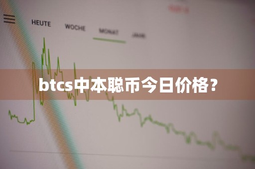 btcs中本聪币今日价格?