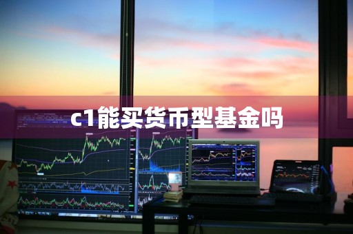 c1能买货币型基金吗