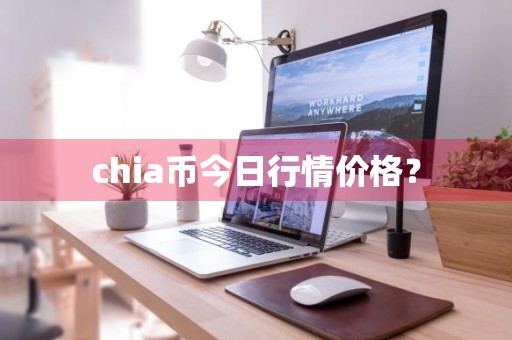 chia币今日行情价格？