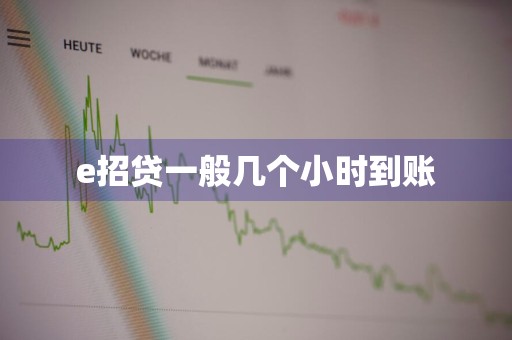 e招贷一般几个小时到账