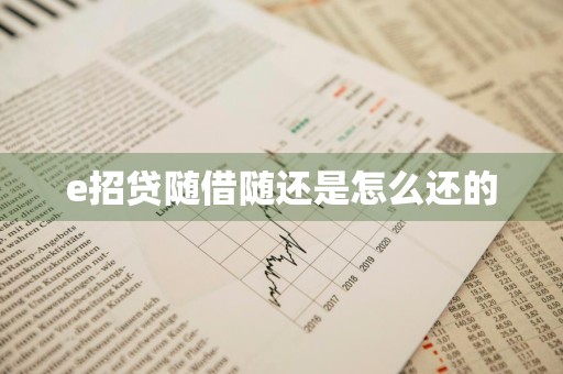 e招贷随借随还是怎么还的