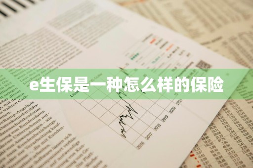 e生保是一种怎么样的保险