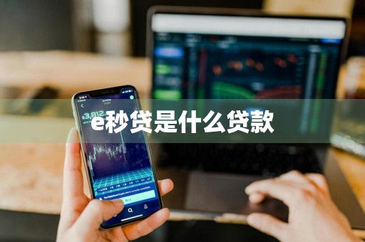e秒贷是什么贷款