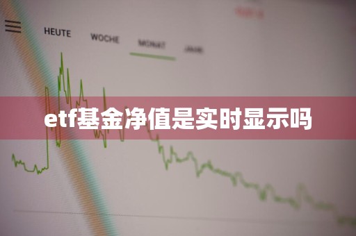 etf基金净值是实时显示吗