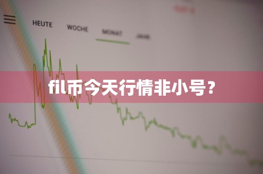 fil币今天行情非小号？