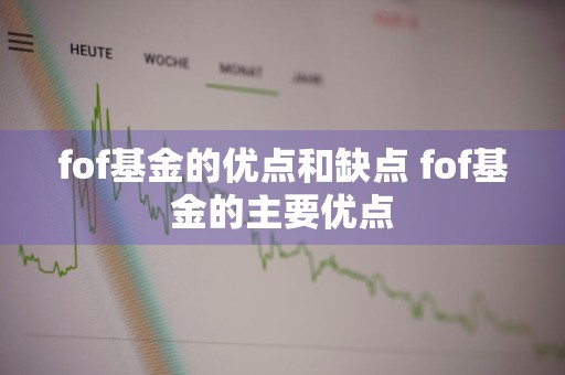 fof基金的优点和缺点 fof基金的主要优点