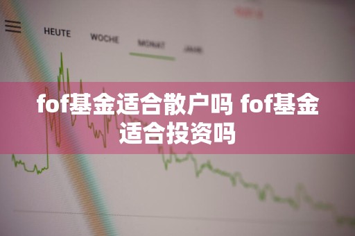fof基金适合散户吗 fof基金适合投资吗