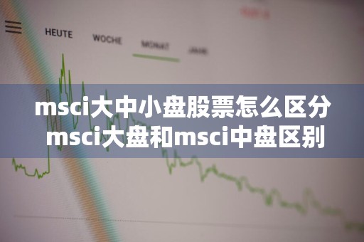 msci大中小盘股票怎么区分 msci大盘和msci中盘区别