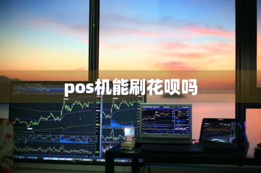 pos机能刷花呗吗