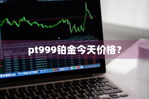 pt999铂金今天价格？