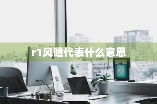 r1风险代表什么意思